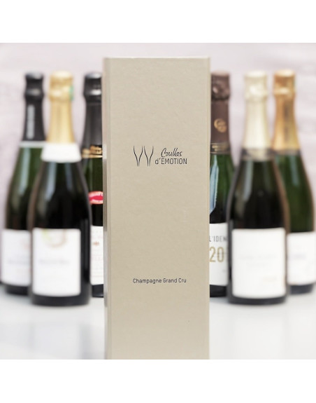Box Chardonnay : champagne blanc de blancs idéal pour l apéritif