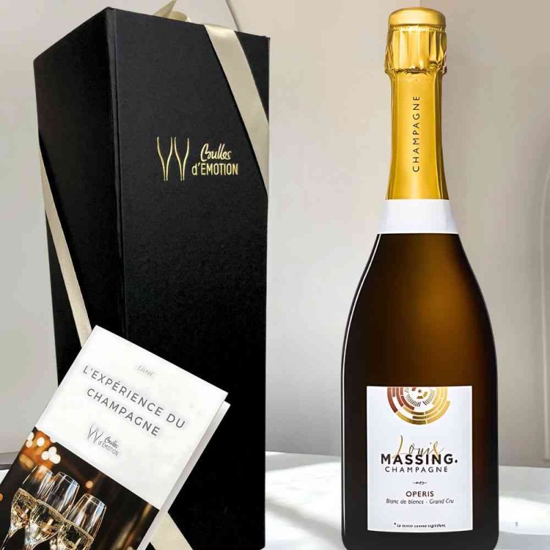 Cadeau Coffret Champagne : bon champagne en coffret à offrir