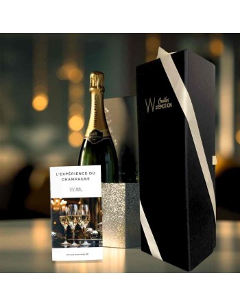 Coffret Cadeau pour amateur de vin de champagne : un bouteille et son livret dans un beau coffret noir