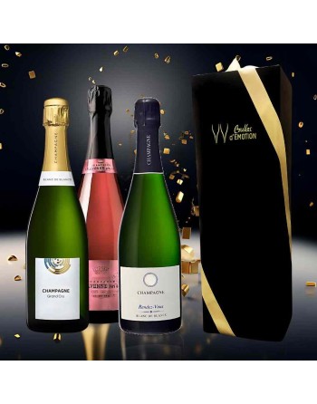 Carte Cadeau Champagne : 3 mois d' abonnement pour une saison pétillante