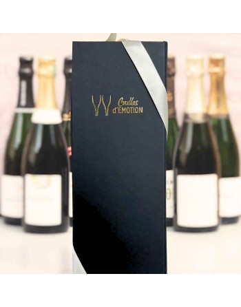 Cadeau Box Chardonnay : champagne blanc de blancs idéal pour l apéritif