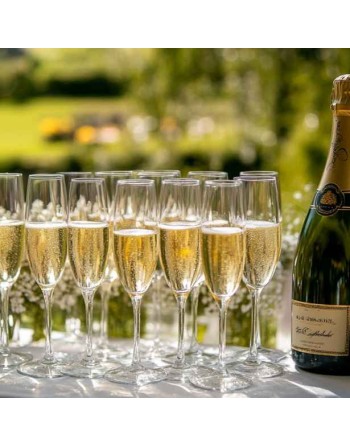 champagne en gros , vente en gros , champagne pour événements