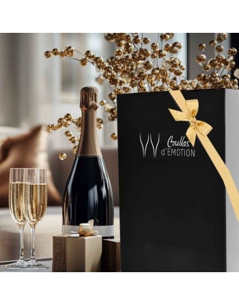 Coffret Cadeau Champagne pour amateur de vin et de champagne