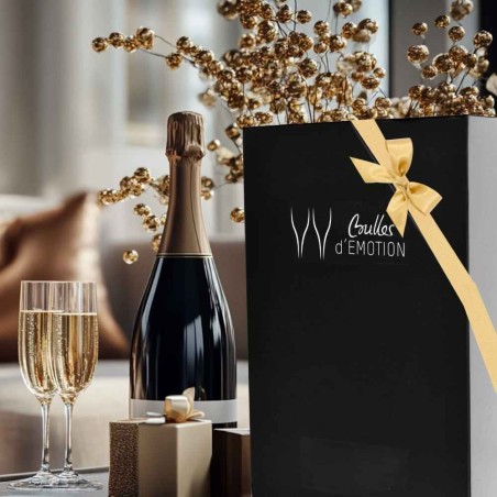 Coffret Cadeau Champagne pour amateur de vin et de champagne