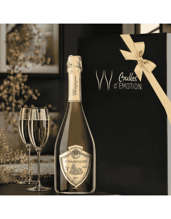 Coffret Champagne Millésimé 2012 / les meilleurs champagne en cadeau pour connaisseurs