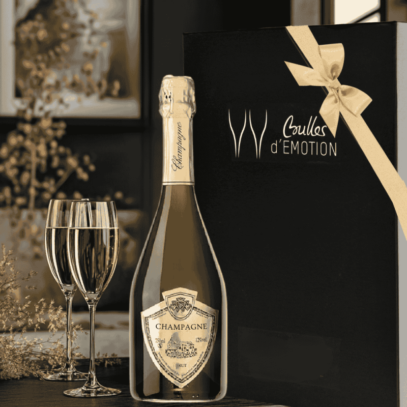 Coffret Champagne Millésimé 2012 / les meilleurs champagne en cadeau pour connaisseurs