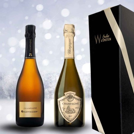 Coffret Cadeau Champagne d'hiver : 2 champagnes pour l hiver