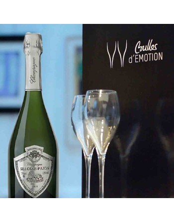 Coffret Champagne Millésimé 2017 - cadeau champagne pour connaisseurs