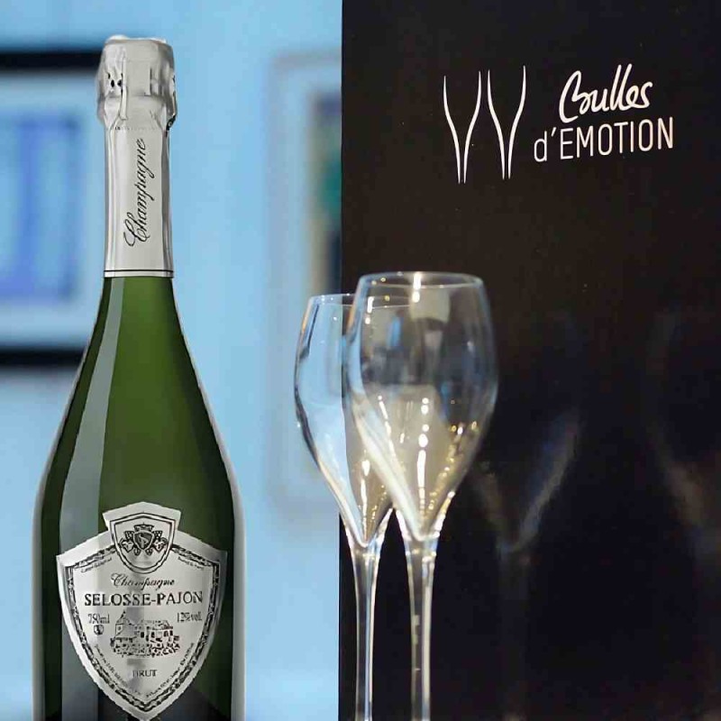 Coffret Champagne Millésimé 2017 - cadeau champagne pour connaisseurs Coffret Champagne Millésimé 2017 - cadeau champagne pour connaisseurs