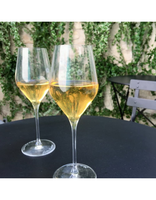 Dégustation de Champagne à Paris : dégustation en terrasse ou dégustation en intérieur
